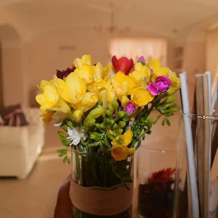 Anima Antiqua Relais & *