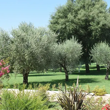 Anima Antiqua Relais &